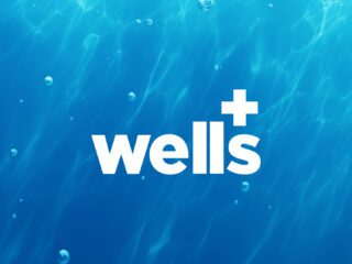 Wells Water Co